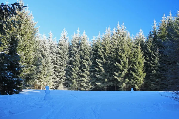 Paesaggio Con Bosco Abeti Rossi Due Pupazzi Neve Sul Prato — Foto Stock