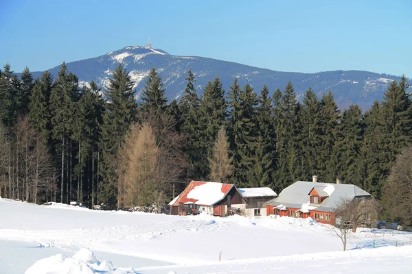 Winter Landscape Some Houses Spruce Forest Hills Beskydy Mountains Czech — Stock Photo, Image