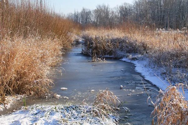 Schmaler Zugefrorener Fluss Mit Winter Mit Seegras Bedeckten Ufern — Stockfoto