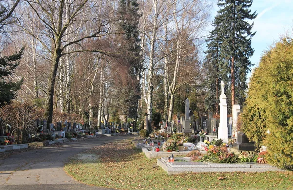 Tombe Cimitero Alcune Betulle Abeti Rossi Frydek Mistek Repubblica Ceca — Foto Stock