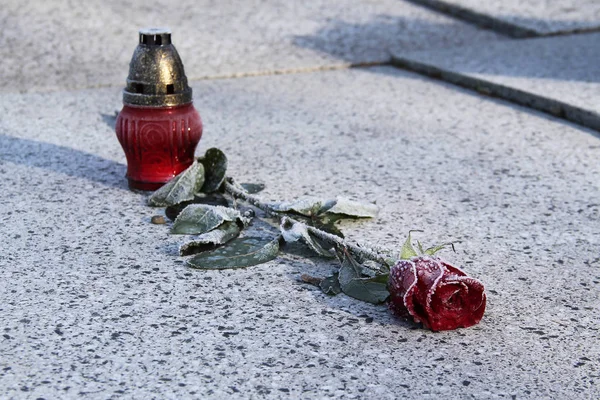Rose Pourpre Recouverte Givre Lanterne Rouge Sur Tombe — Photo