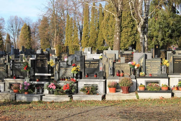 Tombe Cimitero Alcuni Cedri Betulle Frydek Mistek Repubblica Ceca — Foto Stock