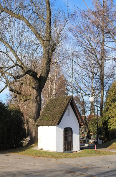 Pequeno Chappel Branco Sob Árvore Nua Cemitério Frydek Mistek República — Fotografia de Stock