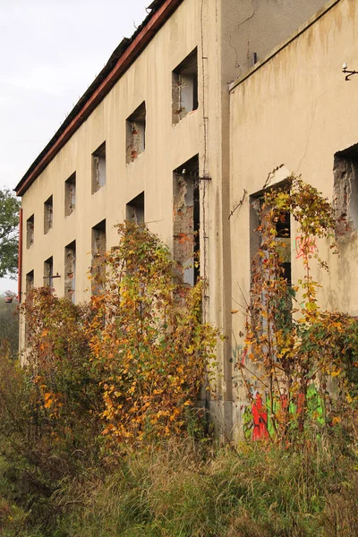 Vieille Maison Abandonnée Avec Des Arbres Colorés Des Plantes Poussant — Photo