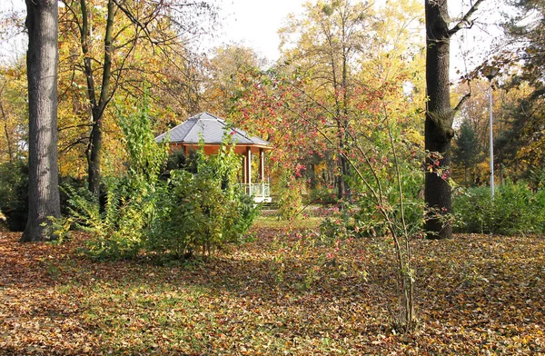 Parque Otoño Con Árboles Plantas Colores Una Casa Verano — Foto de Stock