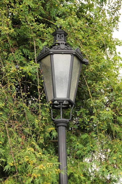 Old Black Lamp Green Tree Park — Stock Photo, Image