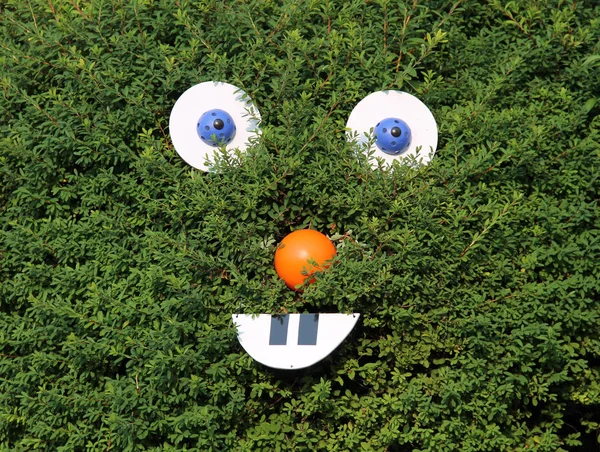 Funny Smiling Face Green Bush — Stock Photo, Image