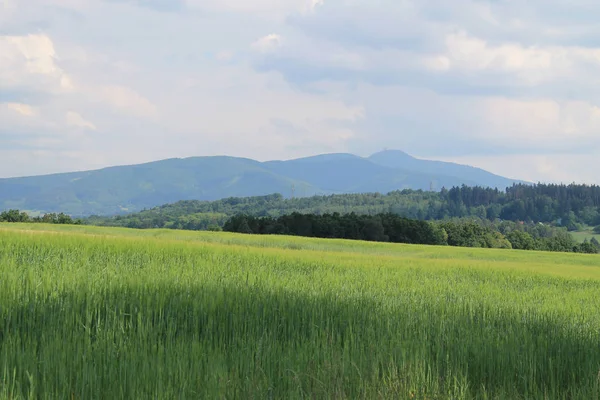 Landschaft Mit Feldern Und Bergpanorama Sommer Tschechische Republik — Stockfoto