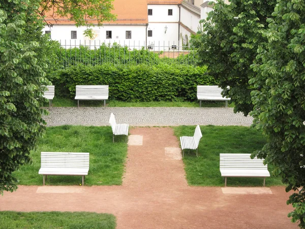 Bonitos Bancos Blancos Árboles Verdes Parque Brno República Checa Primavera — Foto de Stock