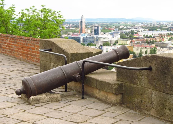 Gamla Kanonen Vallen Slottet Špilberk Brno Tjeckien — Stockfoto