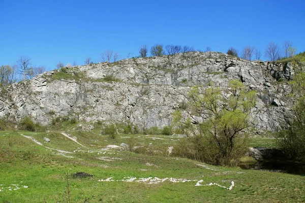 Скелі Колишній Вапняковий Кар Kamenarka Поблизу Stramberk Чеська Республіка — стокове фото