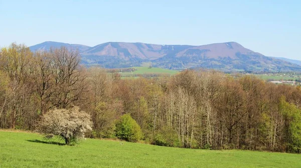 前景に チェコ共和国で桜咲く春の Beskydy 山の風景木 — ストック写真