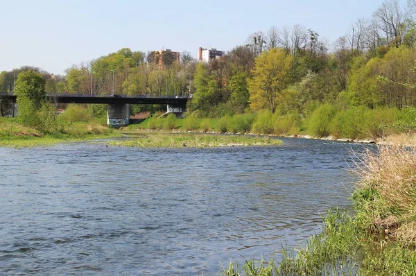 Ostravice Ποτάμι Πράσινα Δέντρα Της Τράπεζας Και Μια Γέφυρα Στο — Φωτογραφία Αρχείου