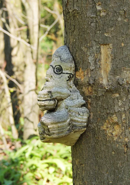 Fungo Tinder Fomes Fomentarius Com Rosto Pintado Tronco Uma Árvore — Fotografia de Stock