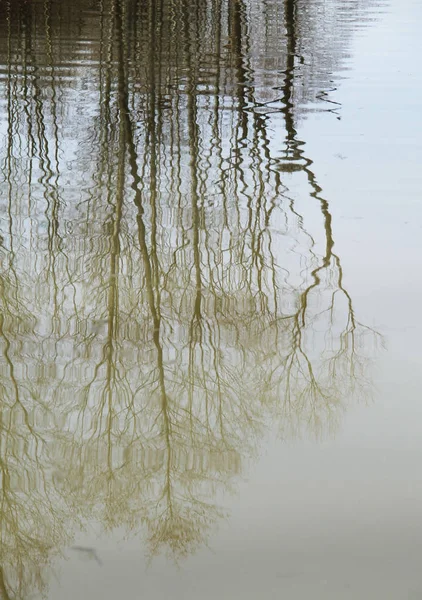 Reflecties Van Bomen Het Golvend Wateroppervlak — Stockfoto