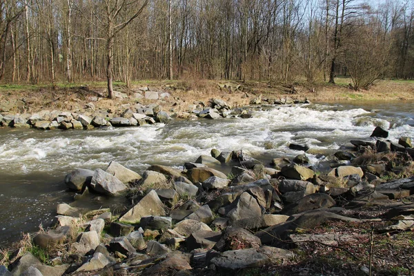 急速な石を渡って流れるプラハ川 — ストック写真