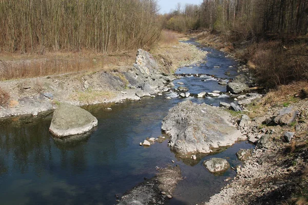 莫拉夫卡河谷与一些岩石和石头 捷克共和国 — 图库照片