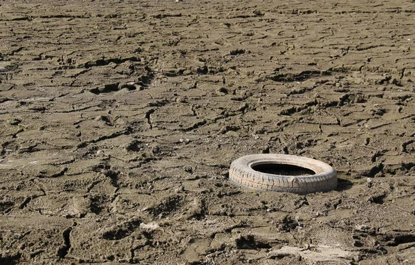 Disturbing Photo Tire Cracked Drying Mud — Stock Photo, Image