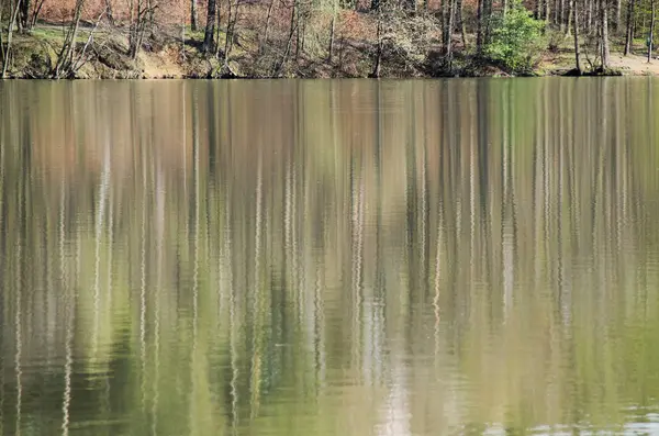 Mooie Reflecties Van Bomen Het Kalm Glad Wateroppervlak — Stockfoto