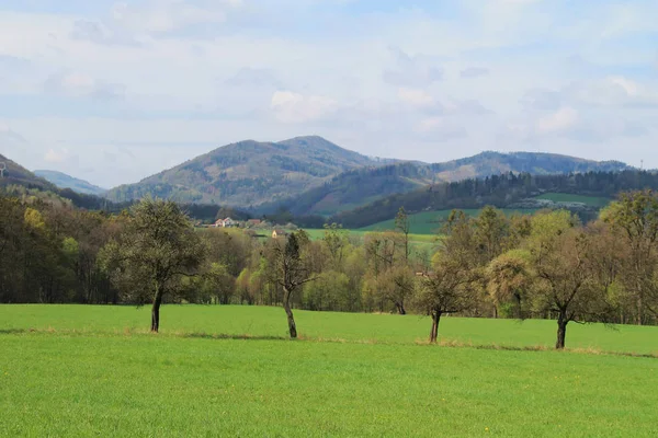 Schöne Landschaft Mit Bergen Und Einigen Apfelbäumen Frühling Tschechische Republik — Stockfoto