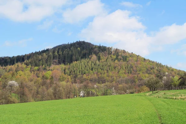 Kaznicov Hill Schönen Sonnigen Frühlingstag Tschechische Republik — Stockfoto