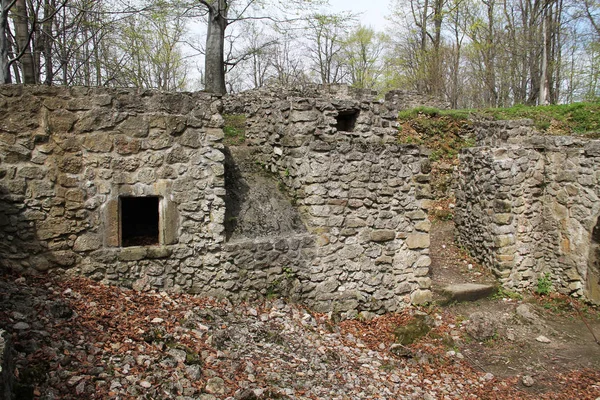 捷克索斯汀城堡的老废墟墙 — 图库照片