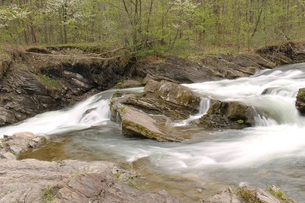 Stroomversnellingen Ostravice Rivier Beskydy Gebergte Tsjechië — Stockfoto