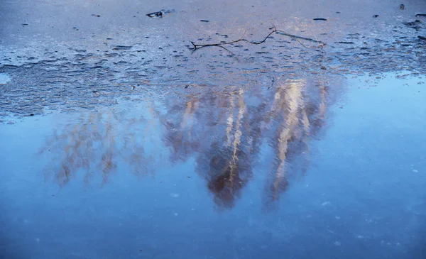 Reflejo Borroso Abedules Desnudos Cielo Azul Superficie Lago Parcialmente Congelado —  Fotos de Stock