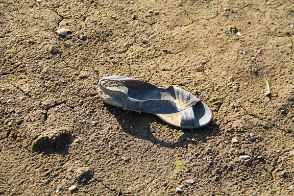 Çamurlu Bir Birikintisi Kıyısında Kayıp Sandalet — Stok fotoğraf