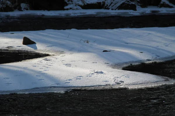 Îles Glace Sur Rivière Hiver — Photo