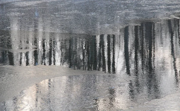 Відображення Дерев Поверхні Частково Замороженої Річки Взимку — стокове фото