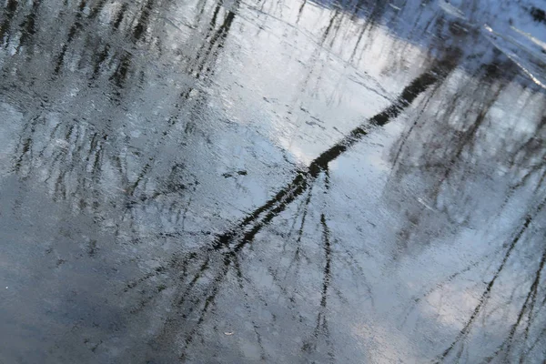 Reflejos Árboles Superficie Del Río Parcialmente Congelado Invierno —  Fotos de Stock