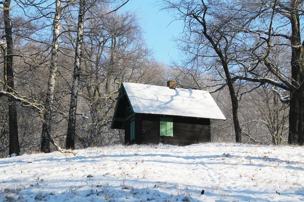 Nice Small Cottage Wood Winter Hukvaldy Czech Republic — Stock Photo, Image