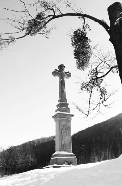 Foto Preto Branco Uma Cruz Velha Com Jesus Debaixo Árvore — Fotografia de Stock