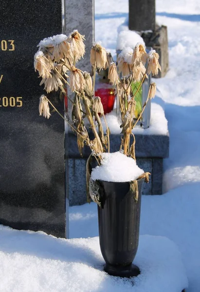 Sear Blommor Vas Graven Med Lite Snö Vintern — Stockfoto