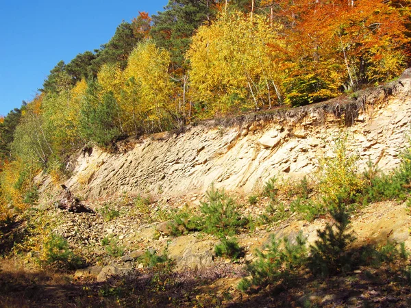 Bright Colorful Trees Autumn Growing Rock Beskydy Mountains — Stock Photo, Image