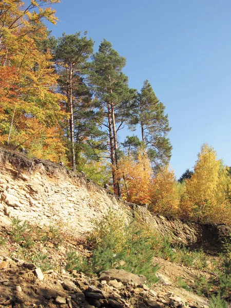 Bright Colorful Trees Autumn Growing Rock Beskydy Mountains — Stock Photo, Image