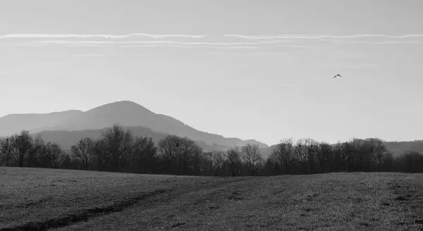 Schwarz Weiß Foto Von Landschaft Mit Bergen Und Himmel Mit — Stockfoto