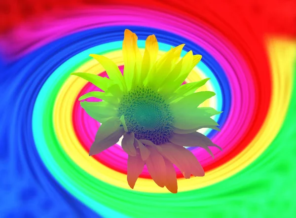 Psychedelic Colorful Blossom Background Spiral Bright Rainbow Colors — Stock Photo, Image