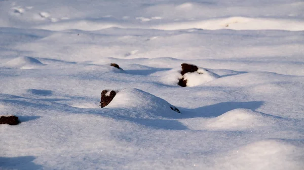 Omgeploegde Veld Onder Sneeuw Winter — Stockfoto