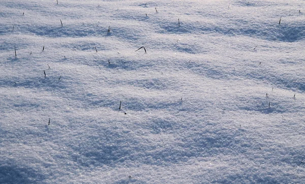 Oppervlak Van Sneeuw Met Gras Vooruitspringend Uit Nuttig Voor Achtergrond — Stockfoto