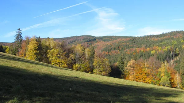 Пейзаж Бескидных Гор Красивых Осенних Цветах — стоковое фото