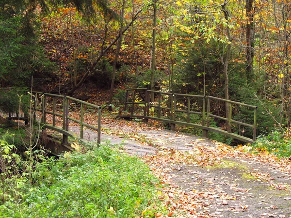 Mały Drewniany Most Lesie Jesienią — Zdjęcie stockowe
