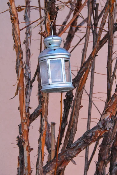挂在光秃秃的树枝上的小装饰灯笼 — 图库照片