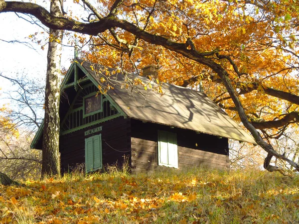 Belle Maison Bois Dans Forêt Automne Colorée Hukvaldy République Tchèque — Photo