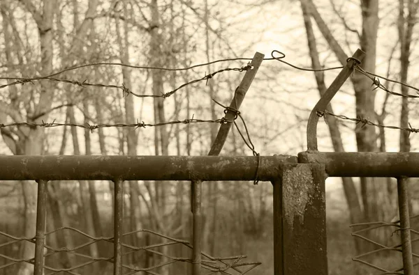 Old Fence Barbed Wire Ochre Tones — Stock Photo, Image