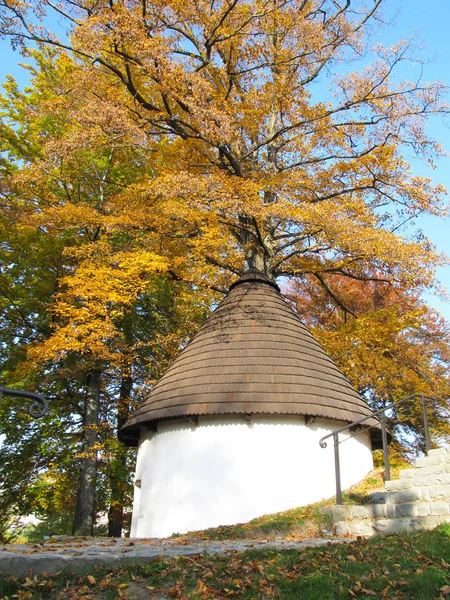 Старый Красивый Колодец Парке Желтым Деревом Осенью Фридек Мистек Чехия — стоковое фото