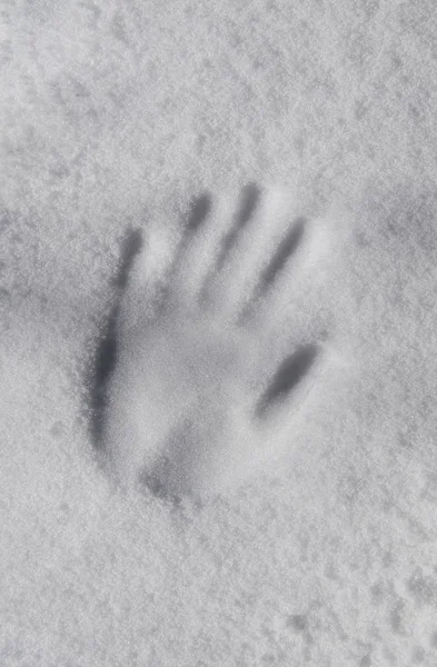 print of hand on the surface of snow in winter