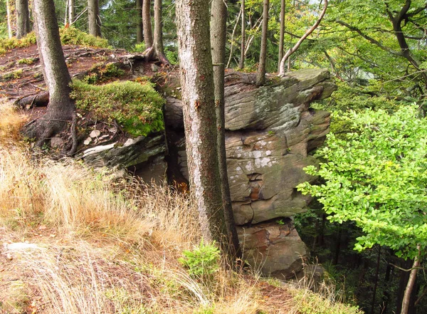 Roccia Nel Bosco Nelle Montagne Beskydy Repubblica Ceca — Foto Stock