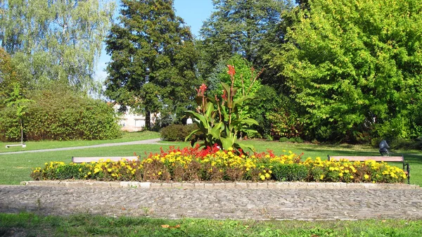 Żółte Czerwone Kwiaty Kwietnik Parku — Zdjęcie stockowe